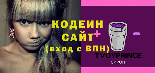 шишки Краснотурьинск