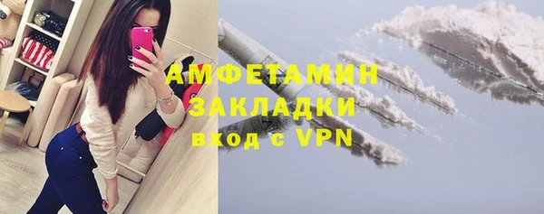 шишки Краснослободск