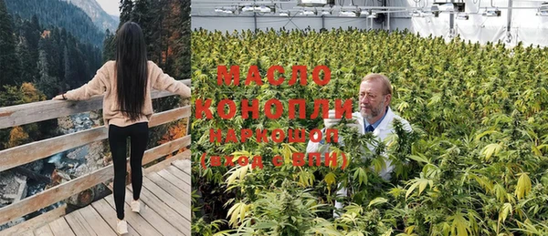 шишки Краснотурьинск