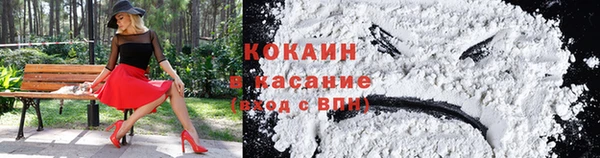 шишки Краснотурьинск