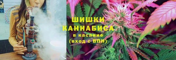 шишки Краснотурьинск