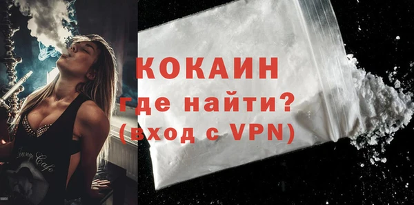 шишки Краснослободск