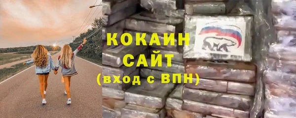 шишки Краснотурьинск